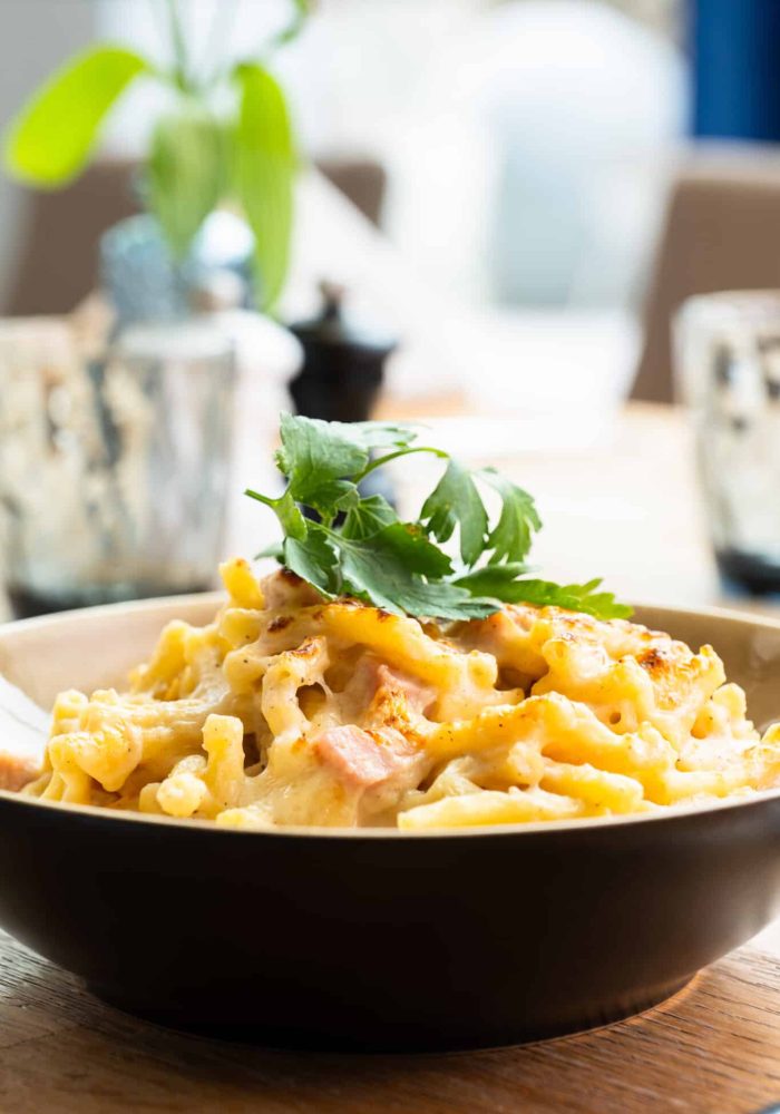 mac & cheese in a bowl